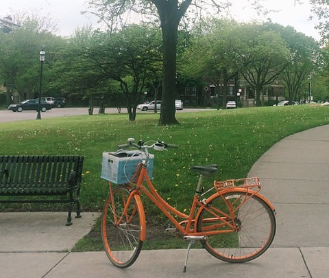 Public Bikes C7 or C1 