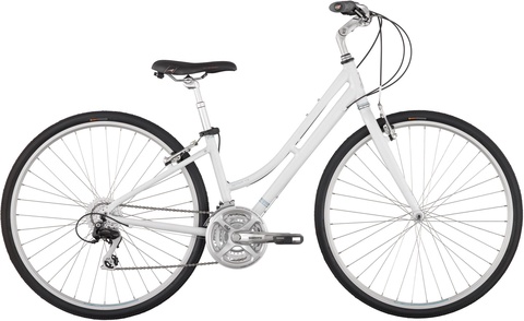 Raleigh Detour 4.5 Woman's Bike 2011