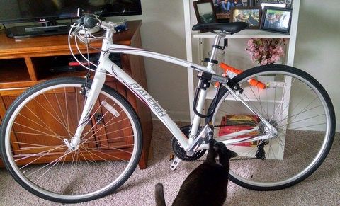 Raleigh Alysa 1