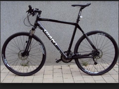 Giant Roam 1