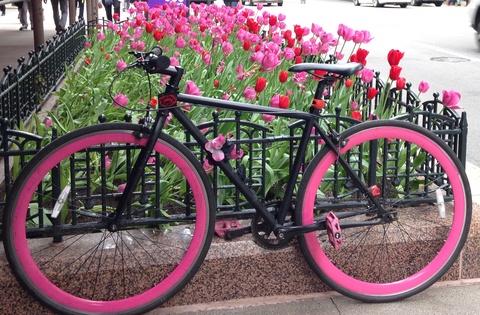 SKU fixed, single gear