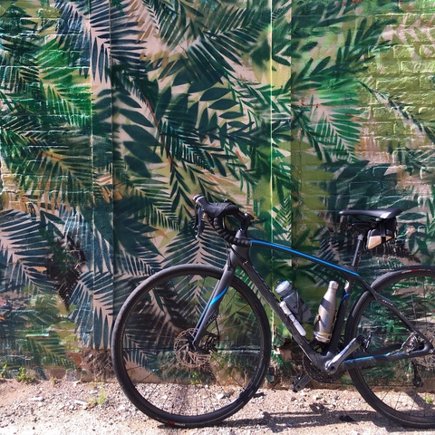 Specialized 2016 Ruby Disc