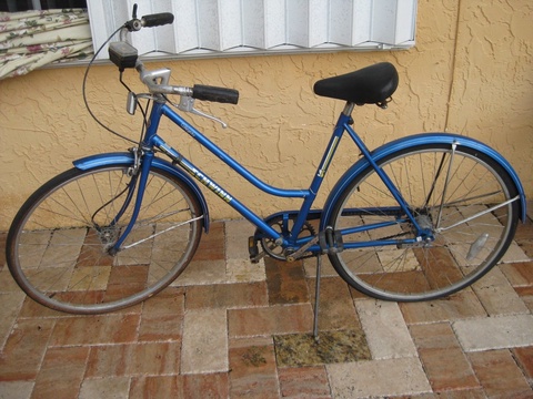 Schwinn Collegiate