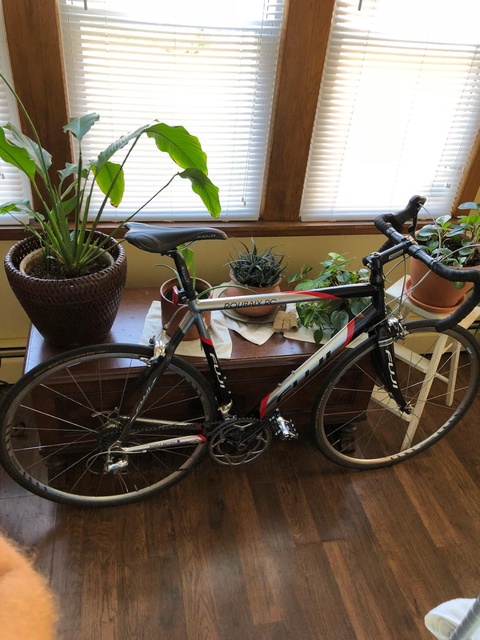 Fuji Roubaix