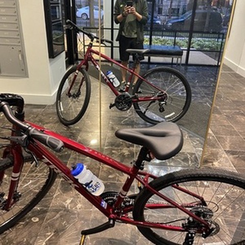 Trek Verve 2 Disc