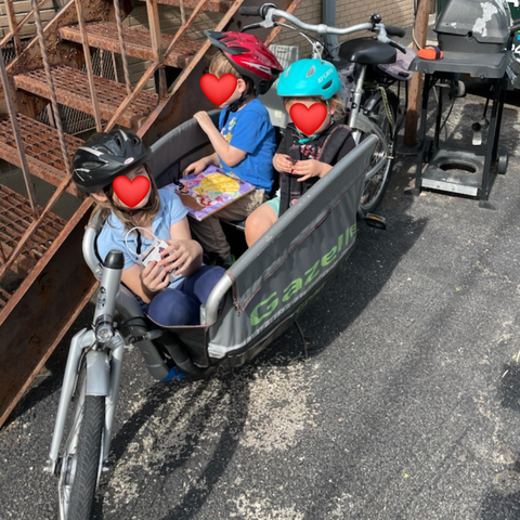Gazelle Cabby Cargo Bike