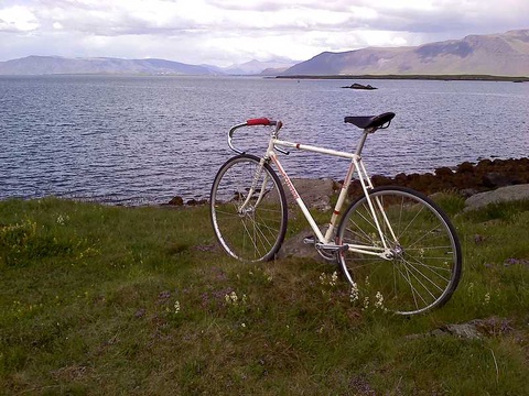 1985 Schwinn Madison