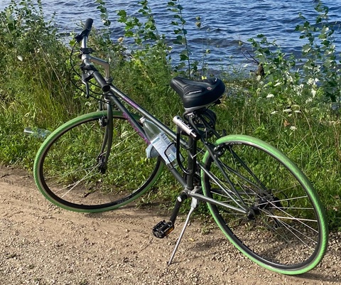 Bianchi