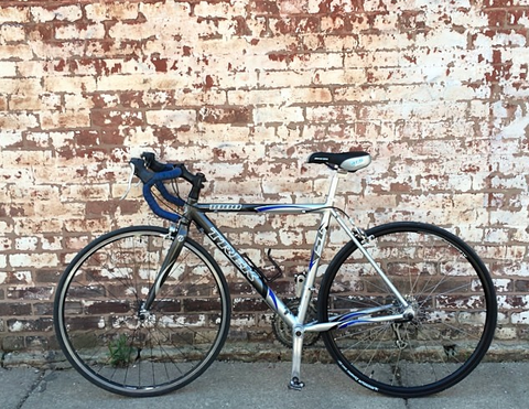 Trek 1000