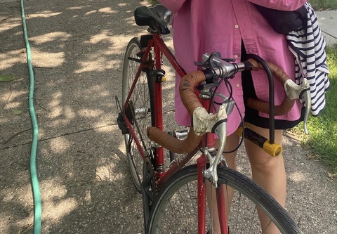 Trek 330 1987
