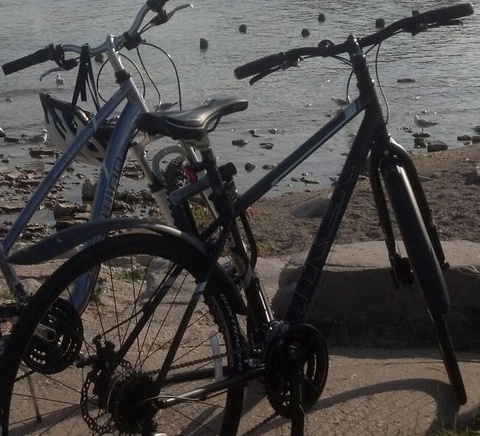 Trek PDX