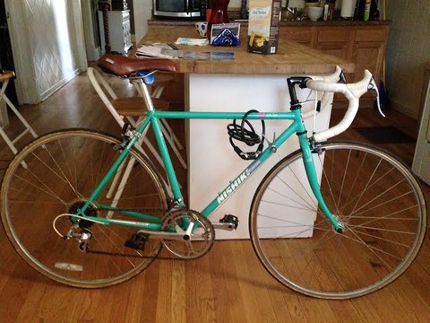 Nishiki Modulus
