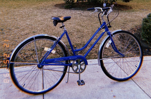 Schwinn Breeze