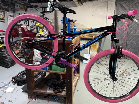 Trek 820