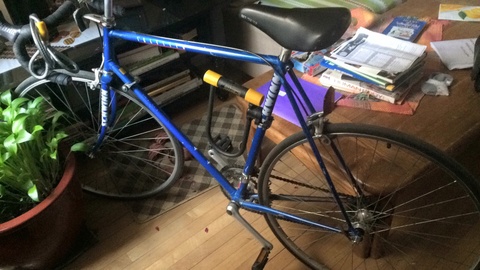 Schwinn *Unknown Model*