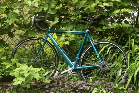 Trek 2000 (but this bike was powdercoated and shows no indication of this)
