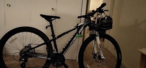 Specialized Pitch 650B