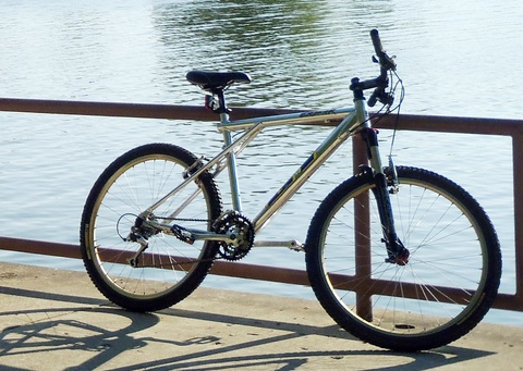1996 GT Zaskar